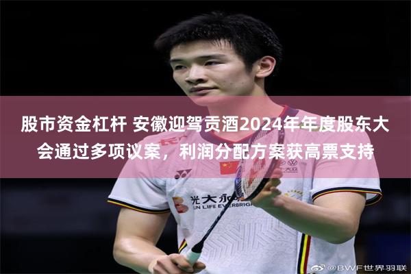 股市资金杠杆 安徽迎驾贡酒2024年年度股东大会通过多项议案，利润分配方案获高票支持