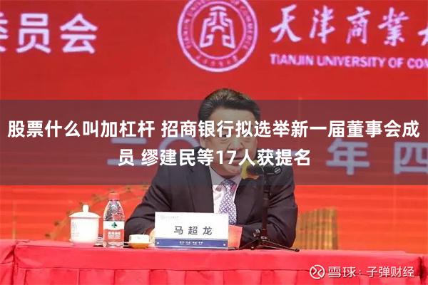 股票什么叫加杠杆 招商银行拟选举新一届董事会成员 缪建民等17人获提名