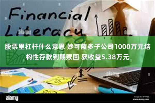 股票里杠杆什么意思 妙可蓝多子公司1000万元结构性存款到期赎回 获收益5.38万元