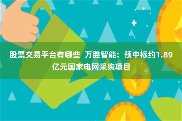 股票交易平台有哪些  万胜智能：预中标约1.89亿元国家电网采购项目