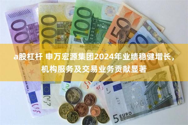 a股杠杆 申万宏源集团2024年业绩稳健增长，机构服务及交易业务贡献显著