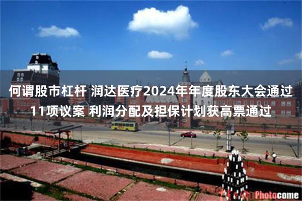 何谓股市杠杆 润达医疗2024年年度股东大会通过11项议案 利润分配及担保计划获高票通过