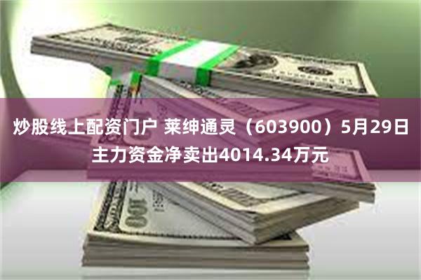 炒股线上配资门户 莱绅通灵（603900）5月29日主力资金净卖出4014.34万元