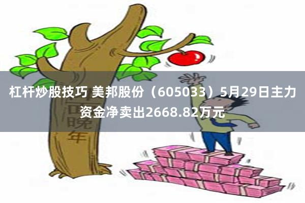 杠杆炒股技巧 美邦股份（605033）5月29日主力资金净卖出2668.82万元