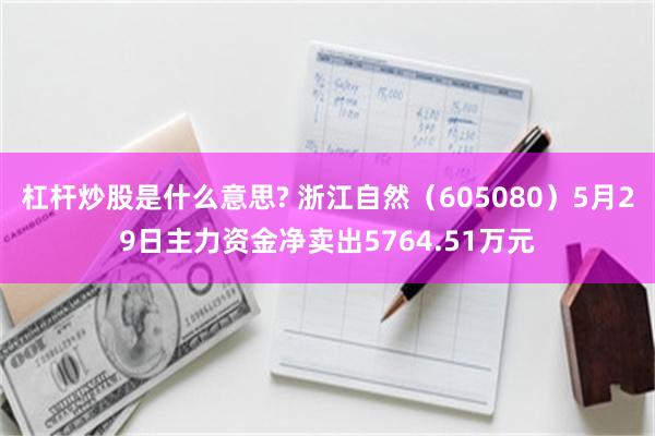杠杆炒股是什么意思? 浙江自然（605080）5月29日主力资金净卖出5764.51万元