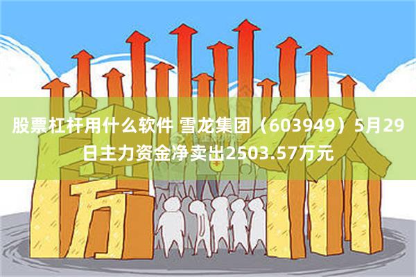 股票杠杆用什么软件 雪龙集团（603949）5月29日主力资金净卖出2503.57万元