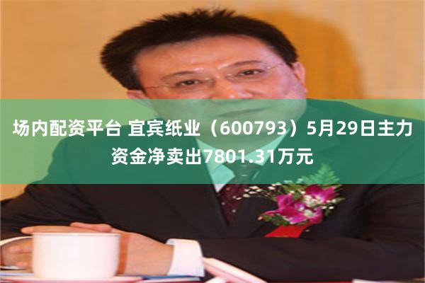 场内配资平台 宜宾纸业（600793）5月29日主力资金净卖出7801.31万元