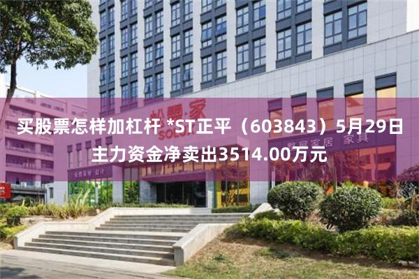 买股票怎样加杠杆 *ST正平（603843）5月29日主力资金净卖出3514.00万元