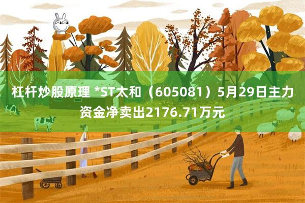 杠杆炒股原理 *ST太和（605081）5月29日主力资金净卖出2176.71万元