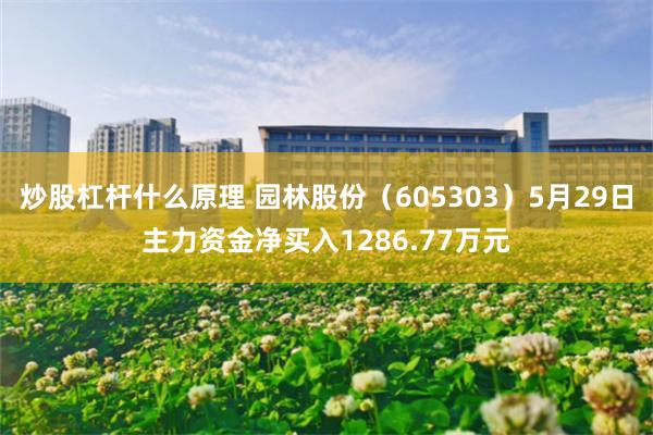 炒股杠杆什么原理 园林股份（605303）5月29日主力资金净买入1286.77万元