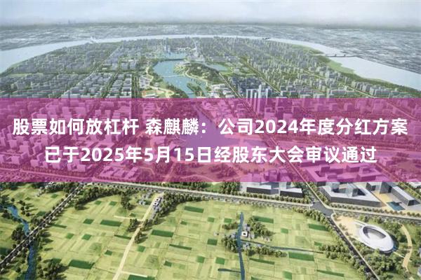 股票如何放杠杆 森麒麟：公司2024年度分红方案已于2025年5月15日经股东大会审议通过