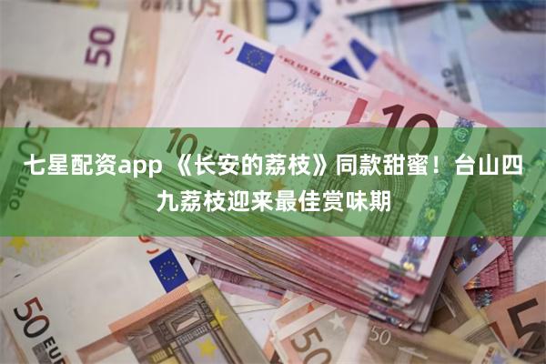 七星配资app 《长安的荔枝》同款甜蜜！台山四九荔枝迎来最佳赏味期