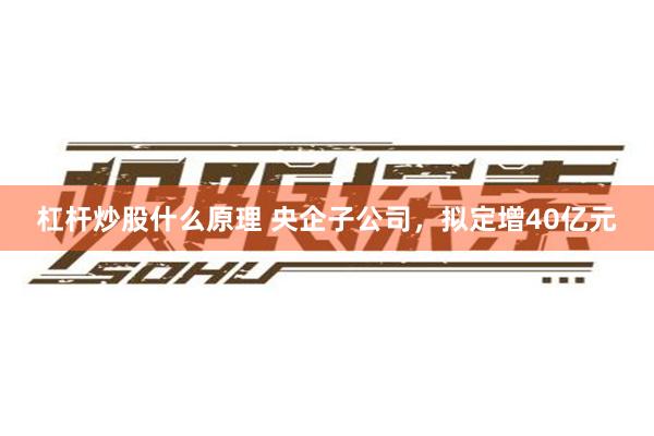 杠杆炒股什么原理 央企子公司，拟定增40亿元