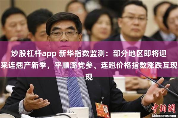 炒股杠杆app 新华指数监测：部分地区即将迎来连翘产新季，平顺潞党参、连翘价格指数涨跌互现
