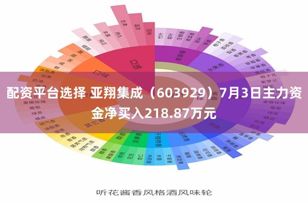 配资平台选择 亚翔集成（603929）7月3日主力资金净买入218.87万元