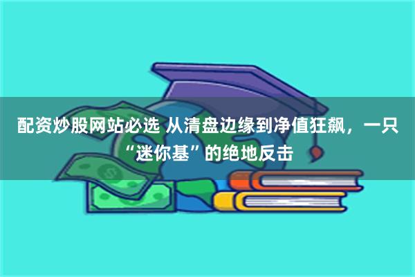 配资炒股网站必选 从清盘边缘到净值狂飙，一只“迷你基”的绝地反击