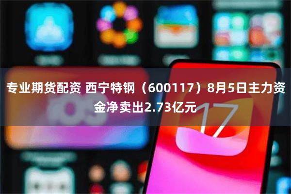 专业期货配资 西宁特钢（600117）8月5日主力资金净卖出2.73亿元