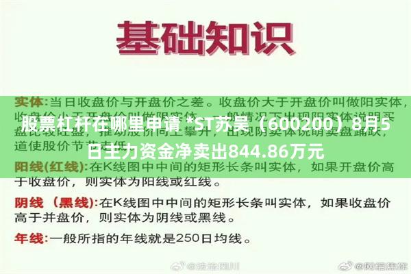 股票杠杆在哪里申请 *ST苏吴(600200)8月5日主力资金净卖出844.86万元