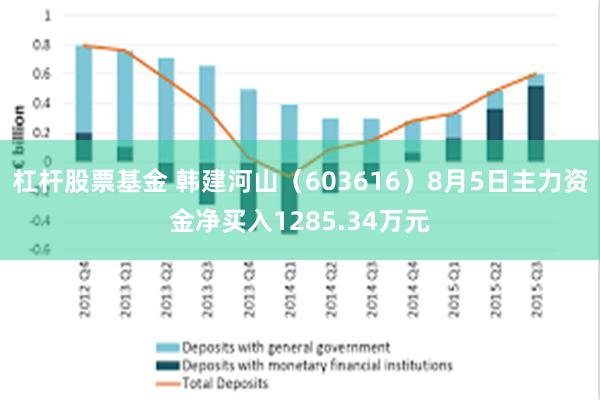 杠杆股票基金 韩建河山（603616）8月5日主力资金净买入1285.34万元
