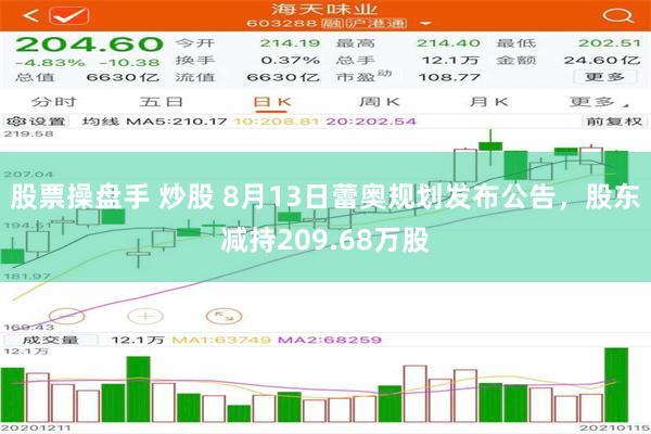 股票操盘手 炒股 8月13日蕾奥规划发布公告，股东减持209.68万股