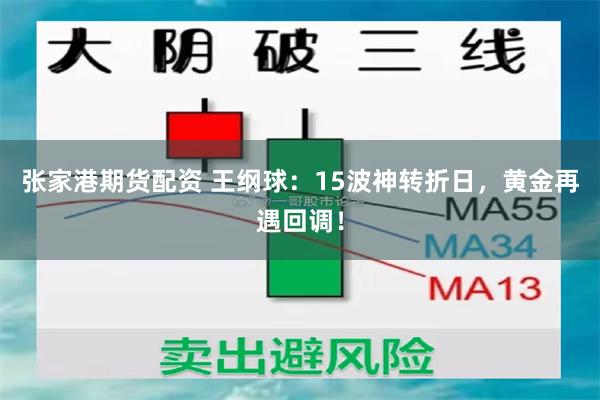 张家港期货配资 王纲球：15波神转折日，黄金再遇回调！