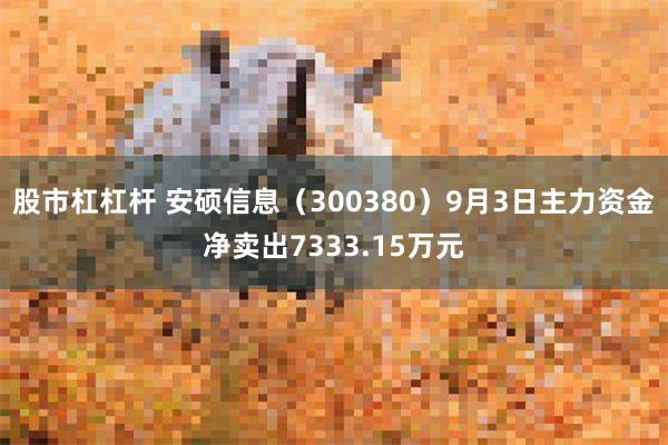 股市杠杠杆 安硕信息（300380）9月3日主力资金净卖出7333.15万元