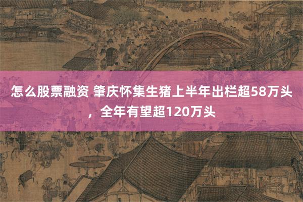 怎么股票融资 肇庆怀集生猪上半年出栏超58万头，全年有望超120万头