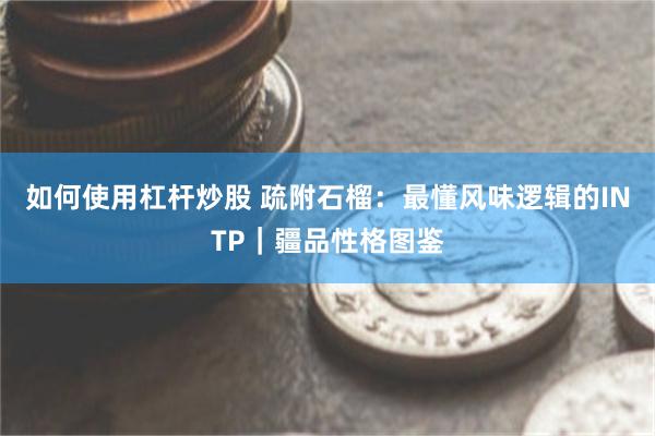 如何使用杠杆炒股 疏附石榴:最懂风味逻辑的INTP|疆品性格图鉴