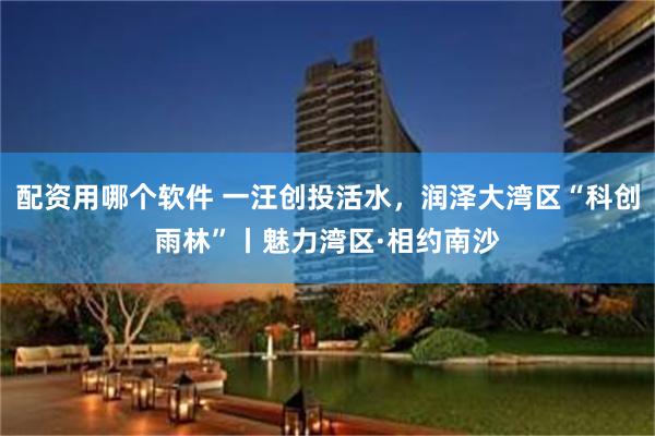 配资用哪个软件 一汪创投活水，润泽大湾区“科创雨林”丨魅力湾区·相约南沙