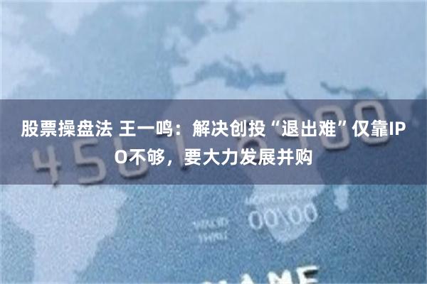 股票操盘法 王一鸣：解决创投“退出难”仅靠IPO不够，要大力发展并购
