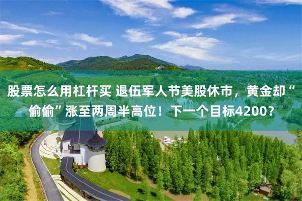 股票怎么用杠杆买 退伍军人节美股休市，黄金却“偷偷”涨至两周半高位！下一个目标4200？