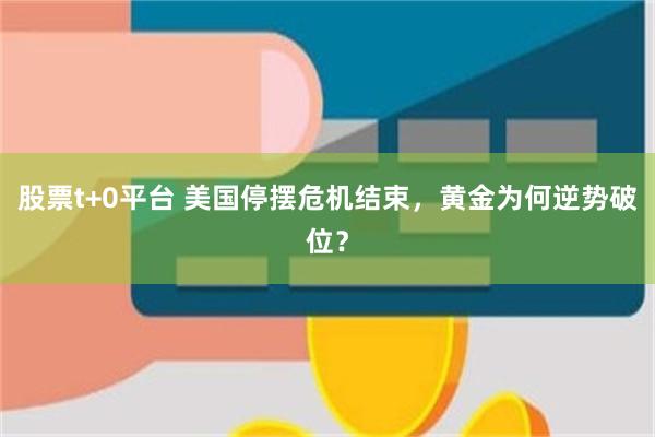 股票t+0平台 美国停摆危机结束，黄金为何逆势破位？