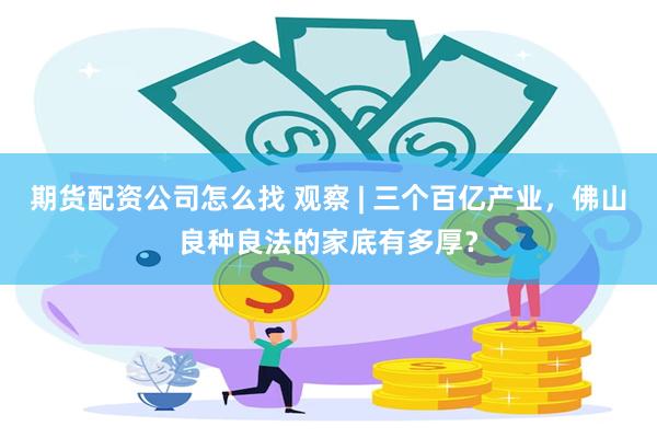 期货配资公司怎么找 观察 | 三个百亿产业，佛山良种良法的家底有多厚？