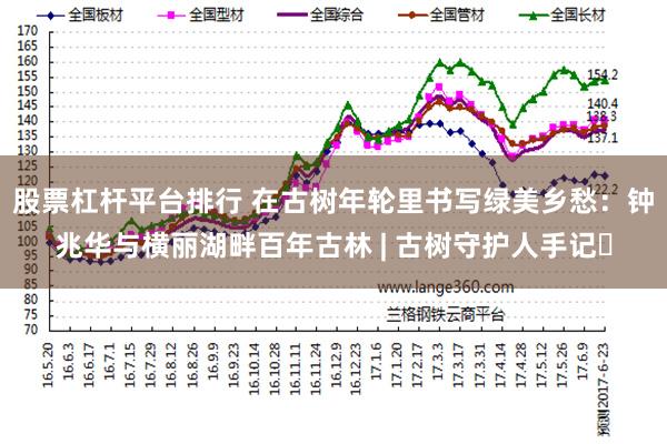 股票杠杆平台排行 在古树年轮里书写绿美乡愁：钟兆华与横丽湖畔百年古林 | 古树守护人手记⑭