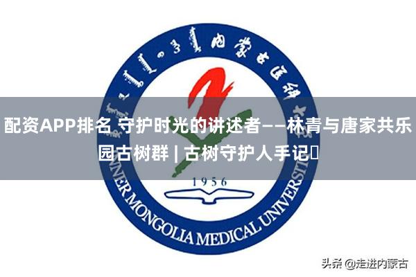 配资APP排名 守护时光的讲述者——林青与唐家共乐园古树群 | 古树守护人手记⑬