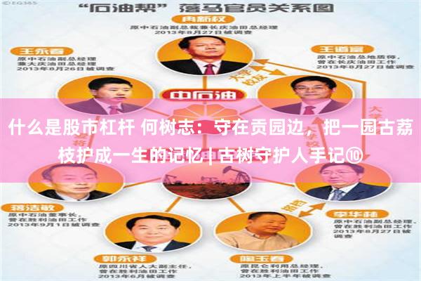 什么是股市杠杆 何树志：守在贡园边，把一园古荔枝护成一生的记忆 | 古树守护人手记⑩