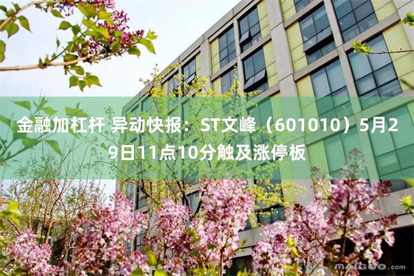 金融加杠杆 异动快报：ST文峰（601010）5月29日11点10分触及涨停板