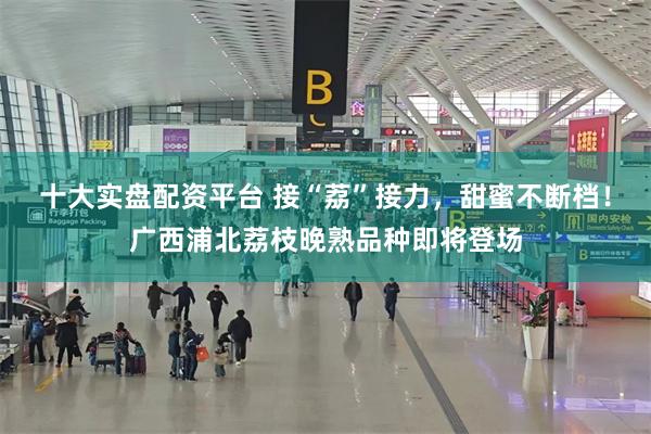 十大实盘配资平台 接“荔”接力，甜蜜不断档！广西浦北荔枝晚熟品种即将登场