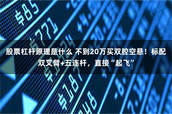 股票杠杆原理是什么 不到20万买双腔空悬！标配双叉臂+五连杆，直接“起飞”