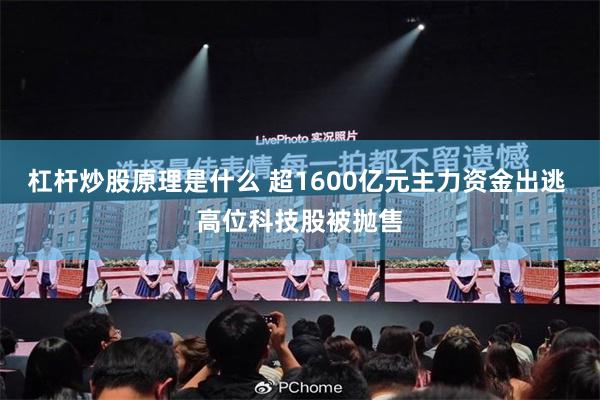 杠杆炒股原理是什么 超1600亿元主力资金出逃 高位科技股被抛售