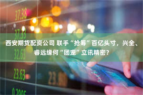 西安期货配资公司 联手“抢筹”百亿头寸，兴全、睿远缘何“团宠”立讯精密？