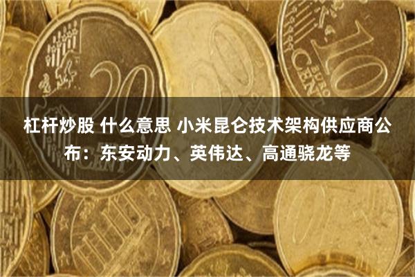 杠杆炒股 什么意思 小米昆仑技术架构供应商公布：东安动力、英伟达、高通骁龙等