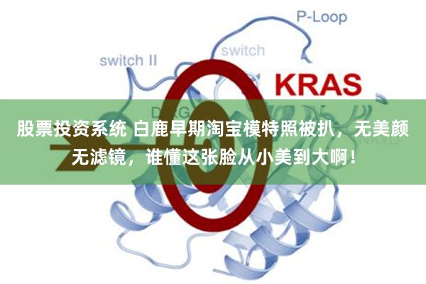 股票投资系统 白鹿早期淘宝模特照被扒，无美颜无滤镜，谁懂这张脸从小美到大啊！