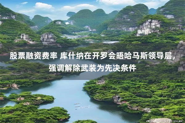 股票融资费率 库什纳在开罗会晤哈马斯领导层，强调解除武装为先决条件
