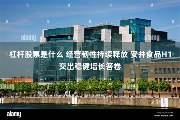 杠杆股票是什么 经营韧性持续释放 安井食品H1交出稳健增长答卷