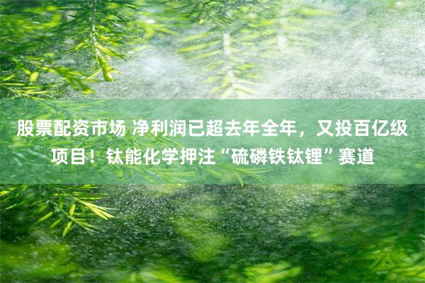 股票配资市场 净利润已超去年全年，又投百亿级项目！钛能化学押注“硫磷铁钛锂”赛道