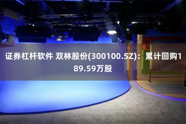 证券杠杆软件 双林股份(300100.SZ)：累计回购189.59万股