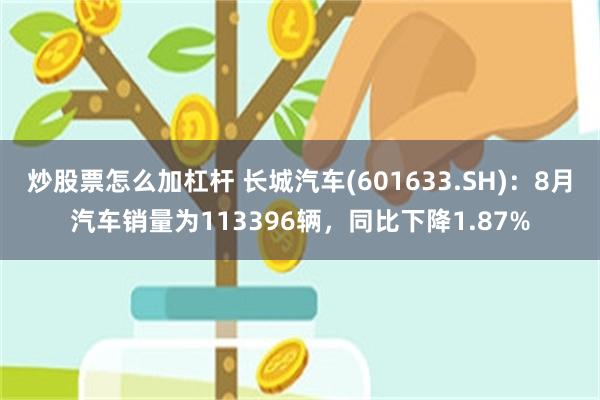 炒股票怎么加杠杆 长城汽车(601633.SH)：8月汽车销量为113396辆，同比下降1.87%