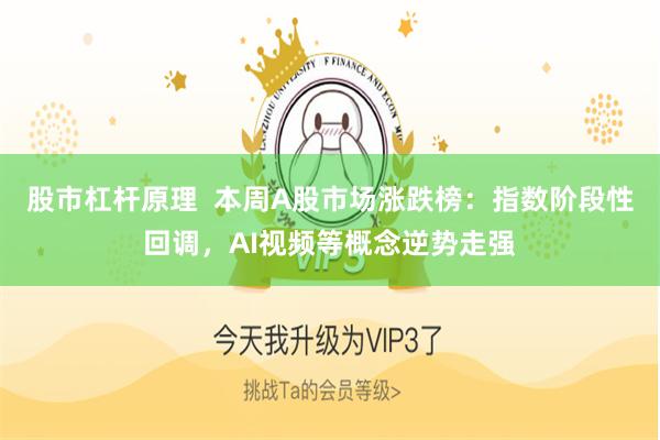 股市杠杆原理  本周A股市场涨跌榜：指数阶段性回调，AI视频等概念逆势走强