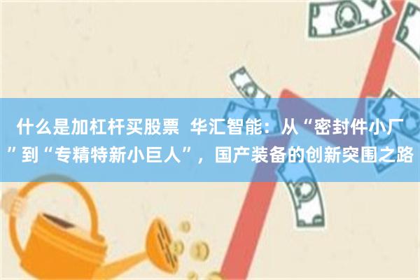 什么是加杠杆买股票  华汇智能：从“密封件小厂”到“专精特新小巨人”，国产装备的创新突围之路
